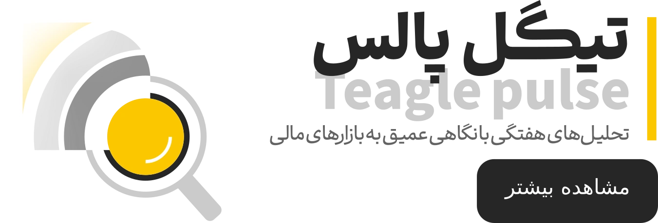 تیگل پالس
