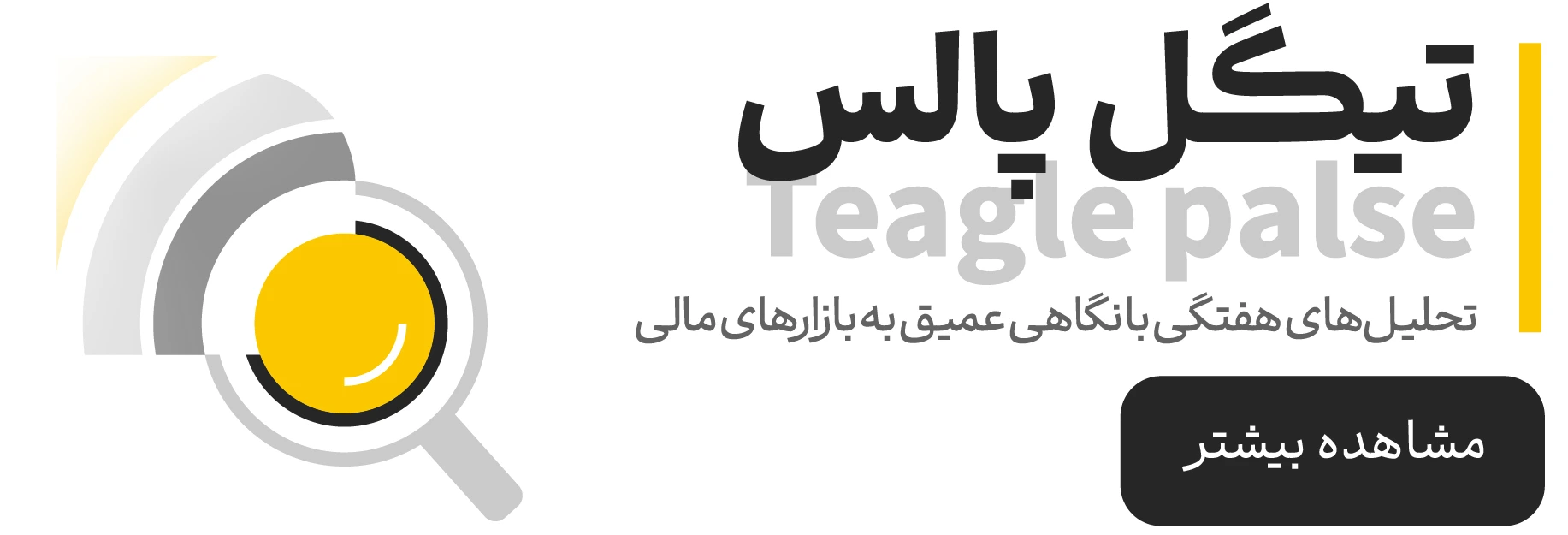 تیگل پالس